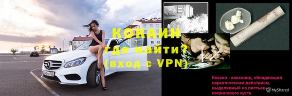 a pvp Аркадак