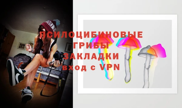 каннабис Арсеньев