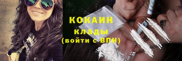 индика Армянск