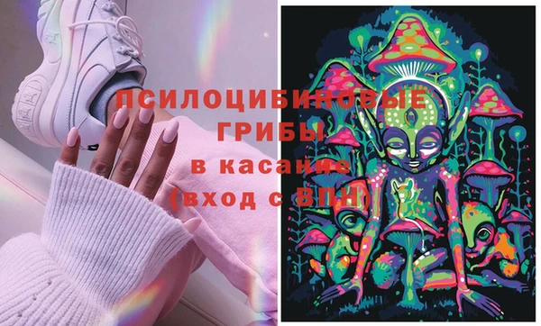 каннабис Арсеньев