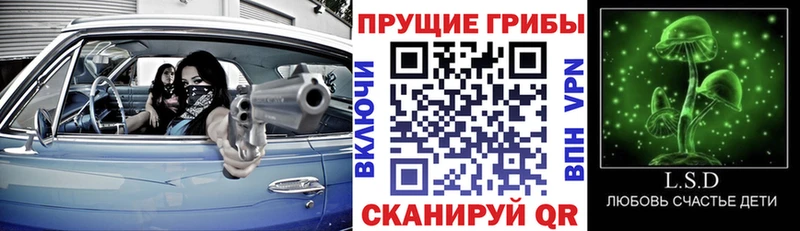 Купить закладки  Углегорск  Галлюциногенные грибы Cubensis 
